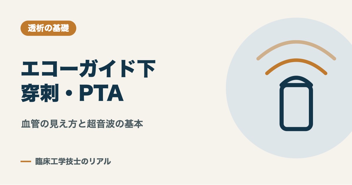 エコーガイド下穿刺とは?短軸法・長軸法の基本をCEが解説