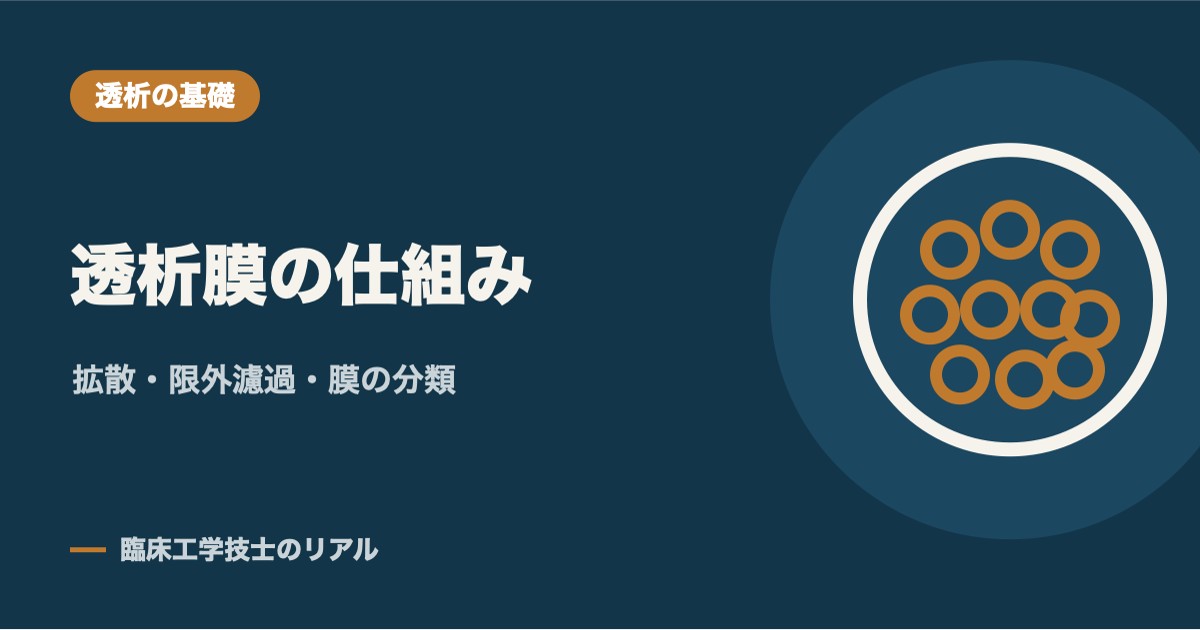 透析膜(ダイアライザ)の仕組みを徹底解説:拡散・限外濾水からローフラックス/ハイフラックスまで
