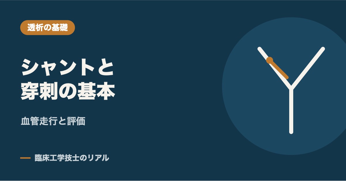 シャントとは?血管走行と穿刺の基本をCEが解説