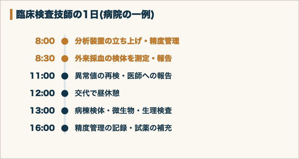 臨床検査技師の1日のスケジュール