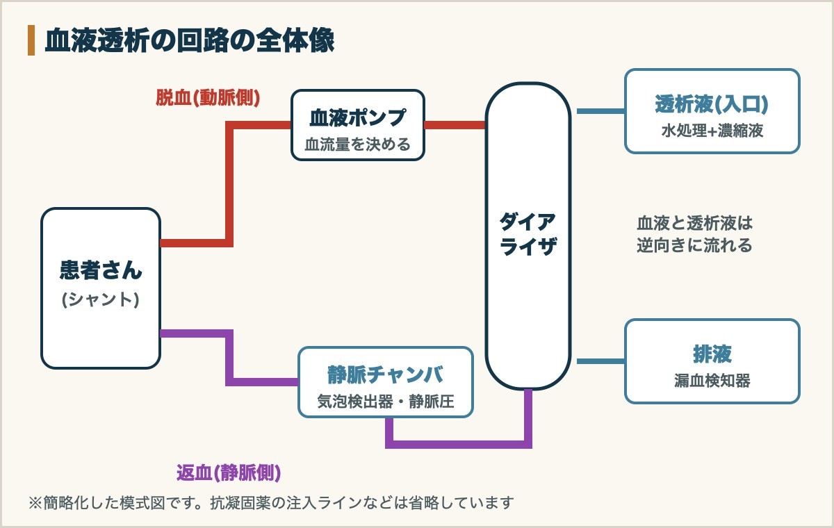 血液透析の回路の全体像
