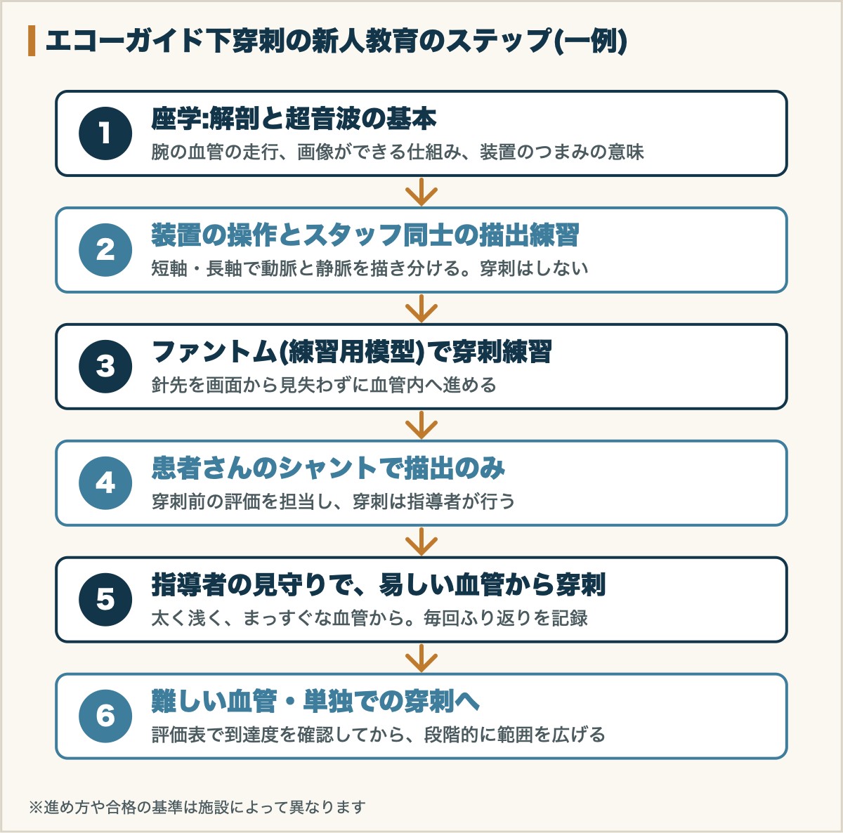 エコーガイド下穿刺の新人教育のステップ