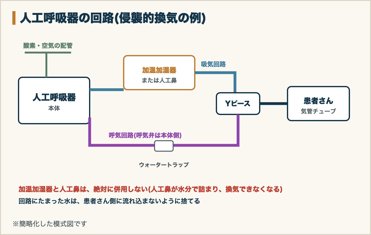 人工呼吸器の回路(侵襲的換気の例)